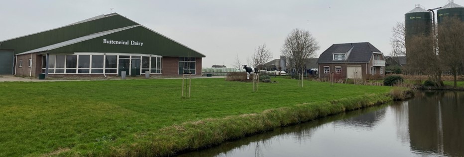 Plas Dras op Buiteneind Diary in Nieuwland