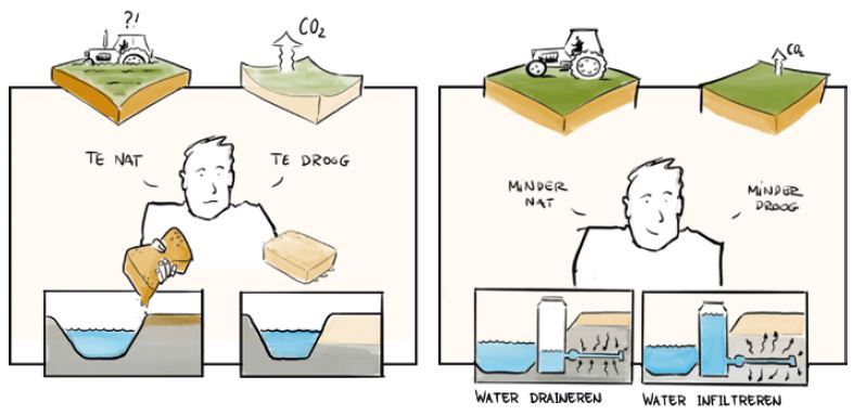 Peilgestuurde drainage