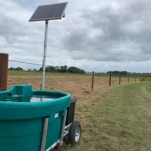 Weidedrinkbak op zonne-energie